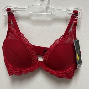 Natori original plunge bra "Feathers" in Burnt Red 32B